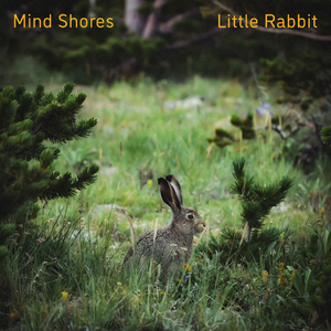 时间停止器无码AV在线观看
