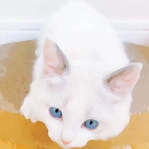 时间停止器无码AV在线观看
