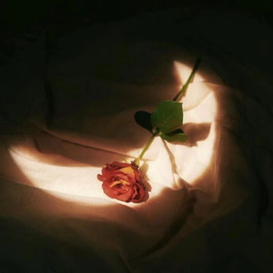 时间停止器无码AV在线观看
